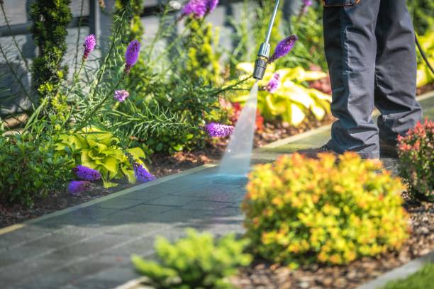 Best Restaurant Pressure Washing  in Willis, TX