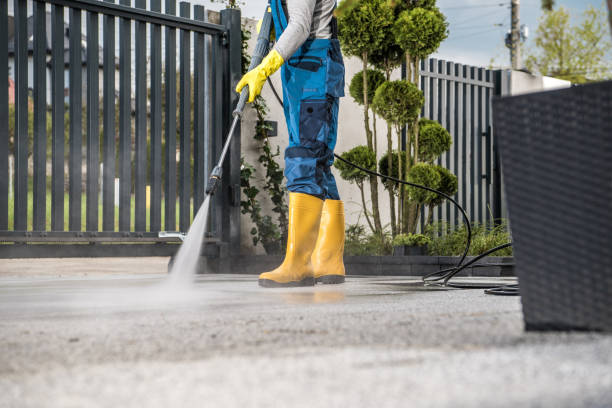 Best House Exterior Washing  in Willis, TX